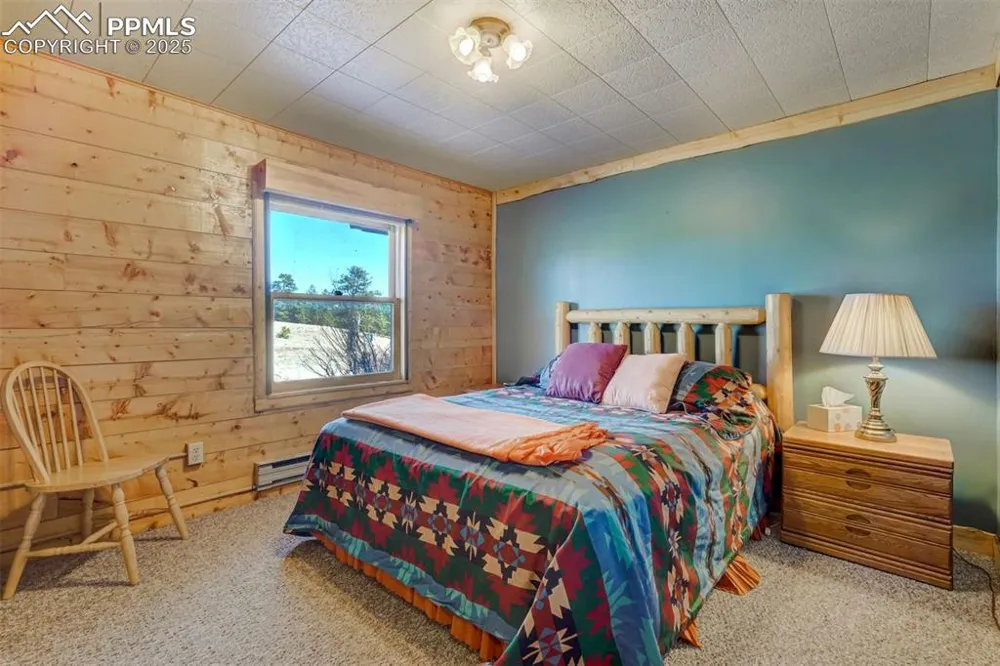994 Deer Lane Guffey, CO 80820
