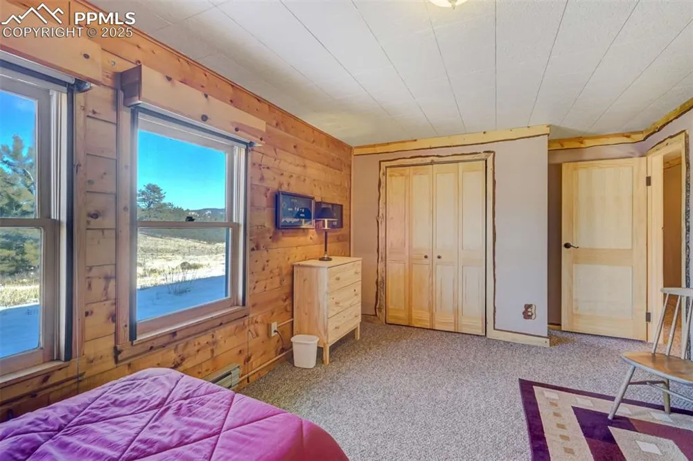 994 Deer Lane Guffey, CO 80820