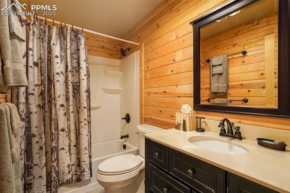 994 Deer Lane Guffey, CO 80820