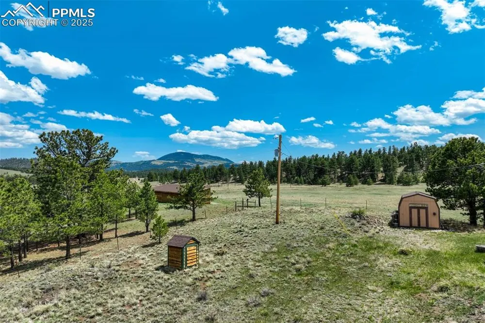 994 Deer Lane Guffey, CO 80820