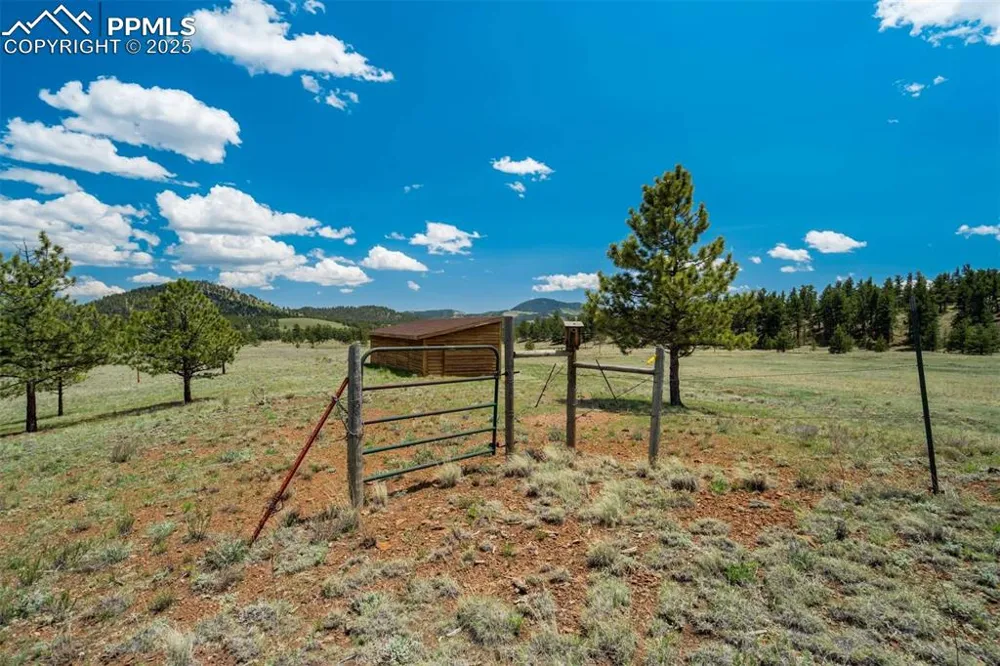 994 Deer Lane Guffey, CO 80820