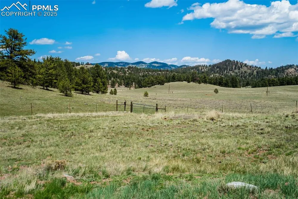 994 Deer Lane Guffey, CO 80820