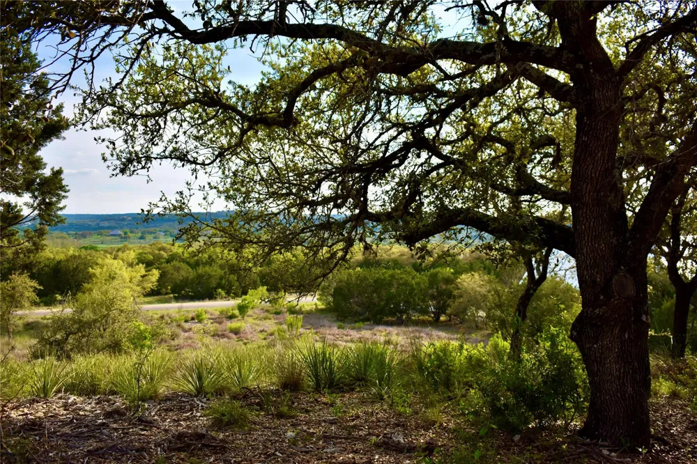 558 Rio Ridge Pkwy Spring Branch, TX 78070