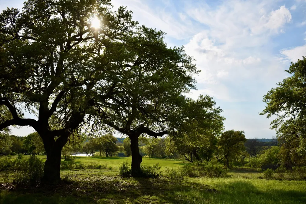 558 Rio Ridge Pkwy Spring Branch, TX 78070