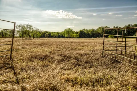 460 County Road 328