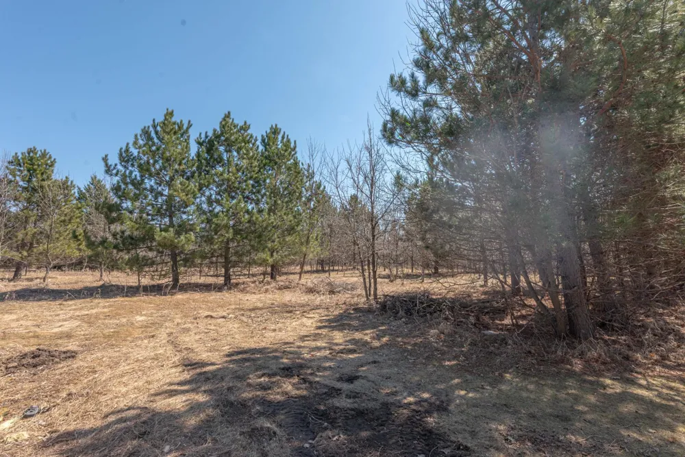 37923 County Highway 44 Richville, MN 56576
