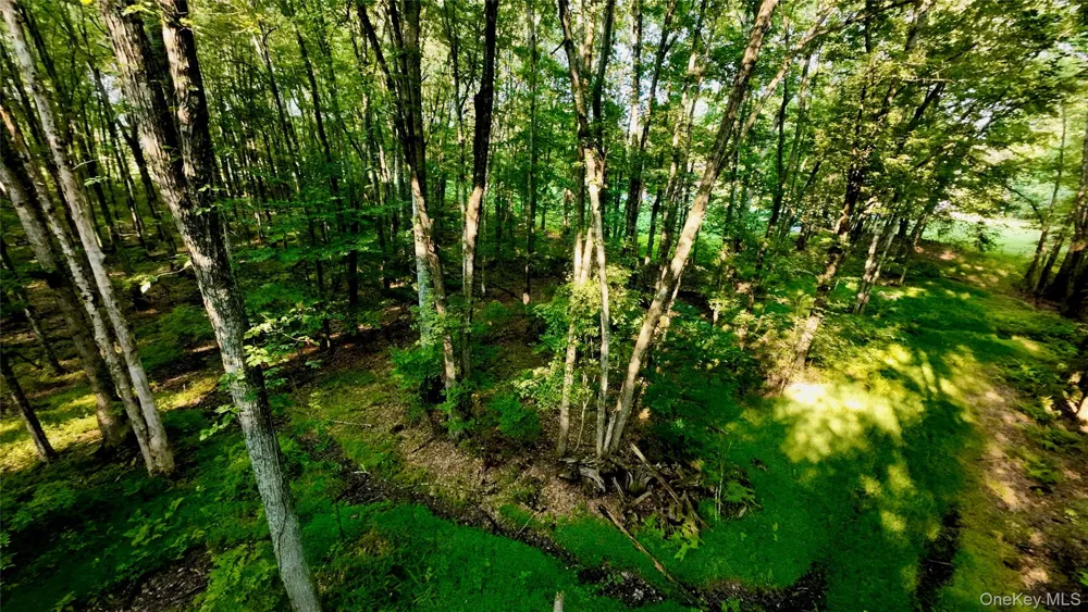 109 White Birch Lane Montgomery, NY 12549