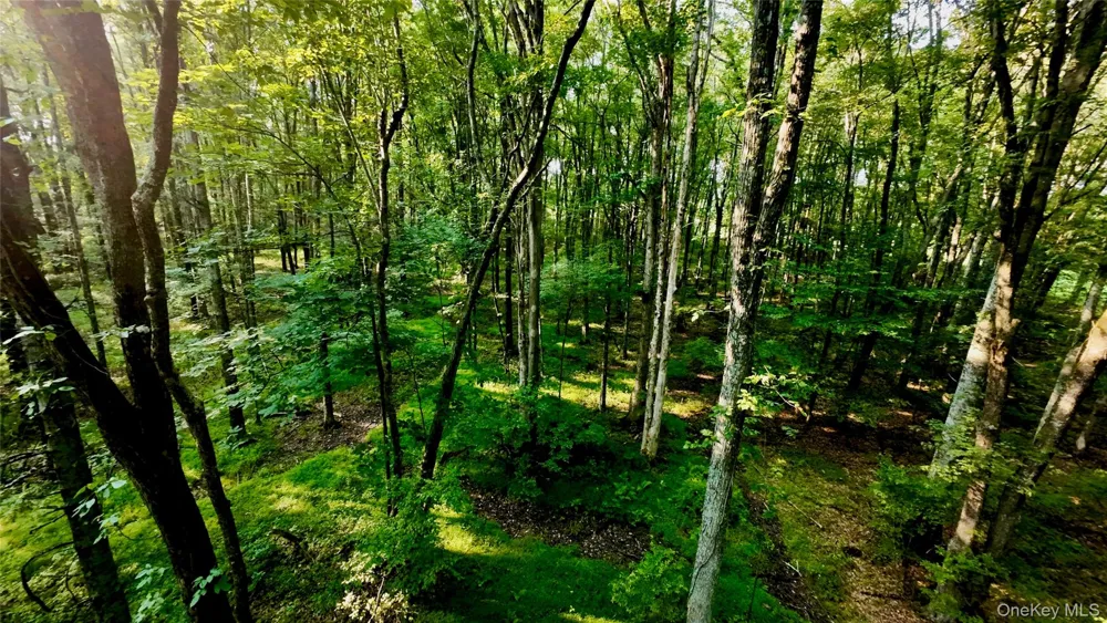 109 White Birch Lane Montgomery, NY 12549