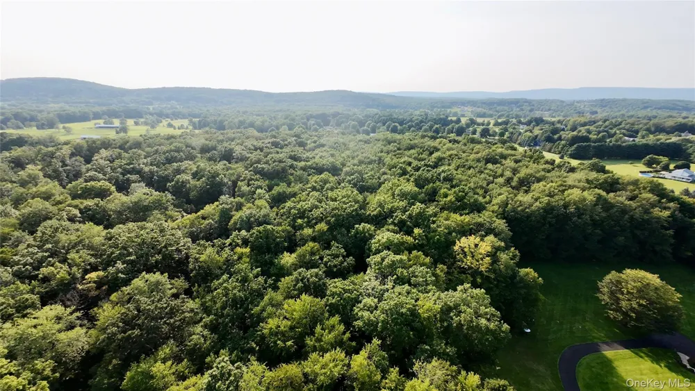 109 White Birch Lane Montgomery, NY 12549