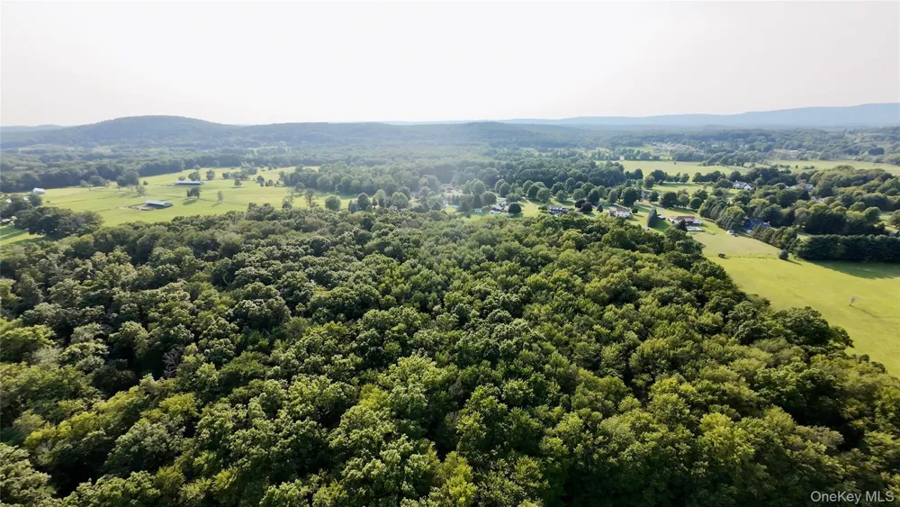 109 White Birch Lane Montgomery, NY 12549