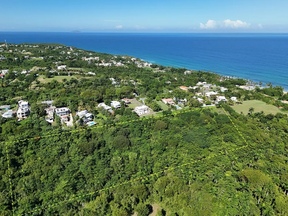 CALLE LAS PALMAS Rincon, PR 00677