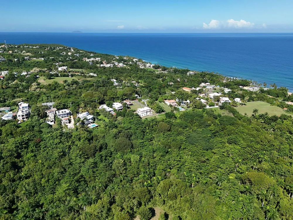CALLE LAS PALMAS Rincon, PR 00677