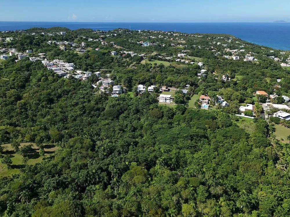 CALLE LAS PALMAS Rincon, PR 00677