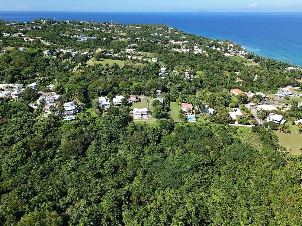 CALLE LAS PALMAS Rincon, PR 00677