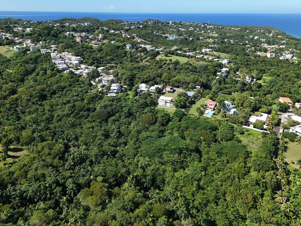 CALLE LAS PALMAS Rincon, PR 00677