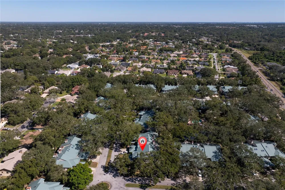 1471 MAHOGANY LANE #1706 Palm Harbor, FL 34683