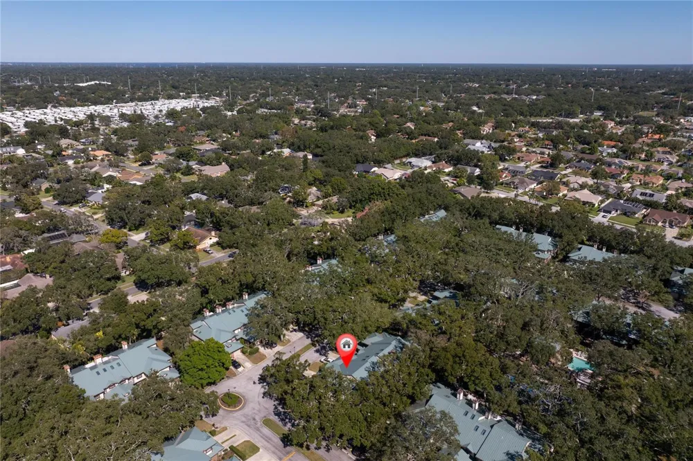 1471 MAHOGANY LANE #1706 Palm Harbor, FL 34683