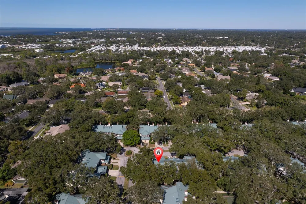 1471 MAHOGANY LANE #1706 Palm Harbor, FL 34683