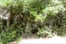 12325 & 12303 STAGG ROAD Winter Garden, FL 34787