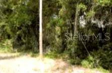 12325 & 12303 STAGG ROAD Winter Garden, FL 34787