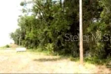12325 & 12303 STAGG ROAD Winter Garden, FL 34787