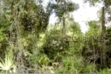 12325 & 12303 STAGG ROAD Winter Garden, FL 34787