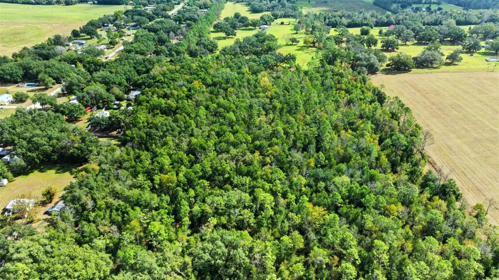SHENNA LANE Zephyrhills, FL 33540