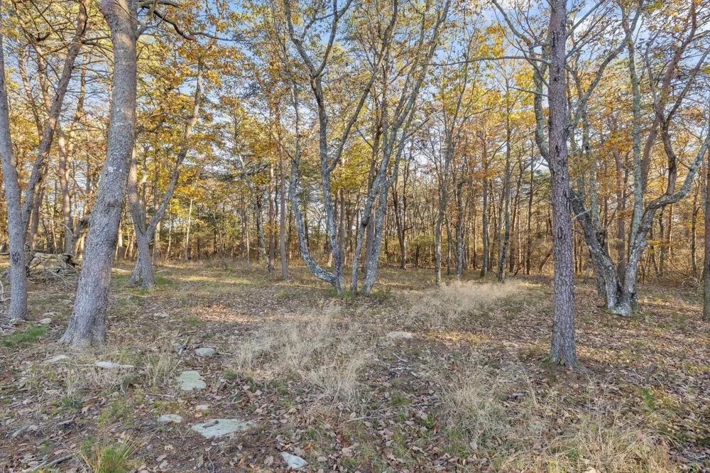 504 Wolf Run Cloudland, GA 30731