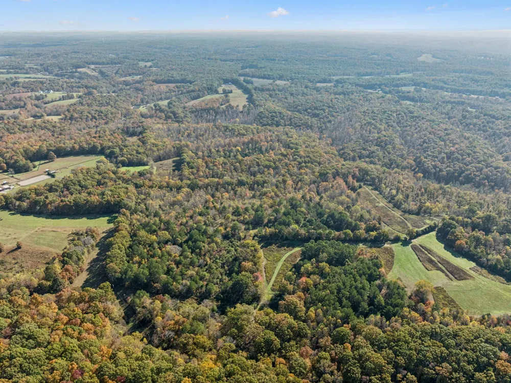 7489 Shoals Branch Rd Primm Springs, TN 38476