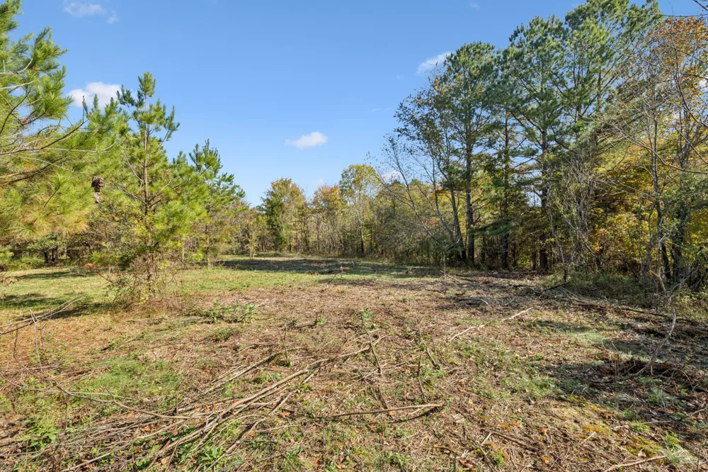 7489 Shoals Branch Rd Primm Springs, TN 38476