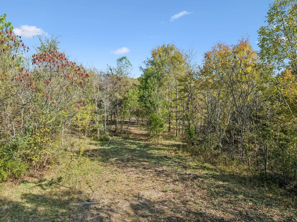 7489 Shoals Branch Rd Primm Springs, TN 38476