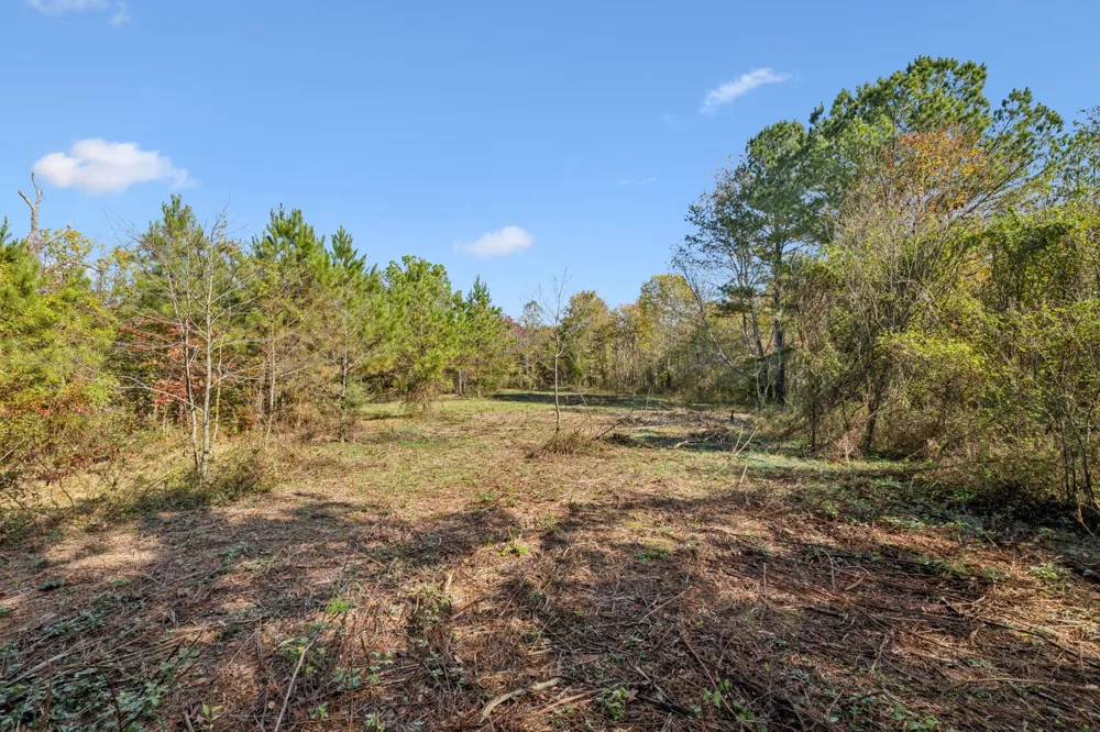 7489 Shoals Branch Rd Primm Springs, TN 38476