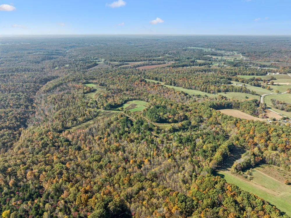 7489 Shoals Branch Rd Primm Springs, TN 38476