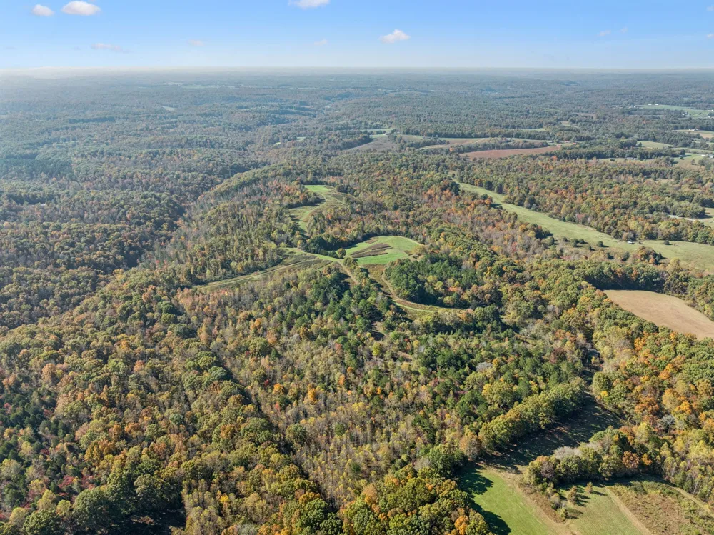 7489 Shoals Branch Rd Primm Springs, TN 38476
