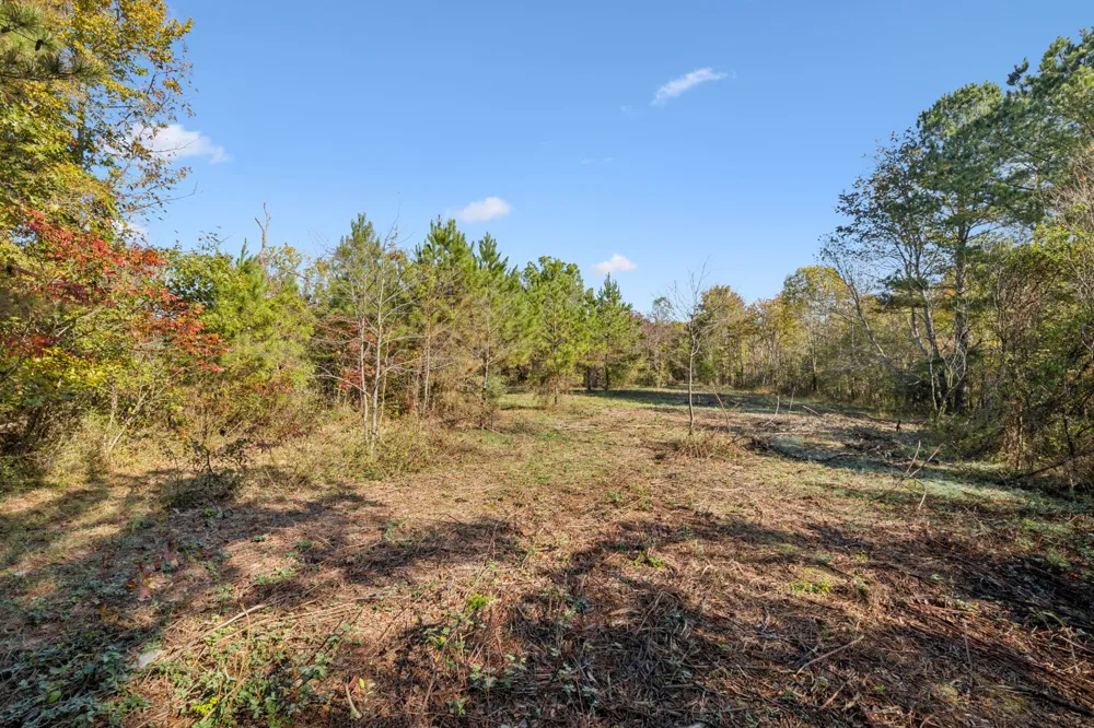 7489 Shoals Branch Rd Primm Springs, TN 38476