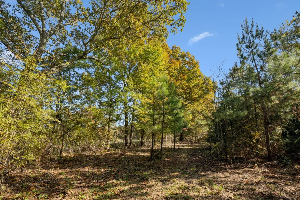 7489 Shoals Branch Rd Primm Springs, TN 38476