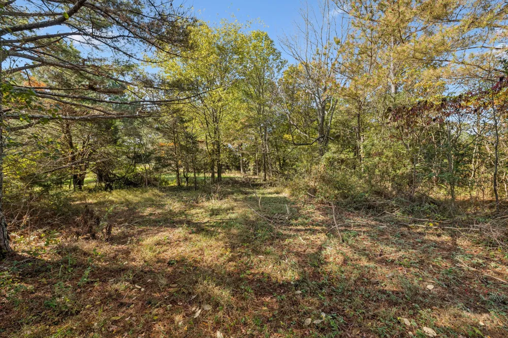 7489 Shoals Branch Rd Primm Springs, TN 38476
