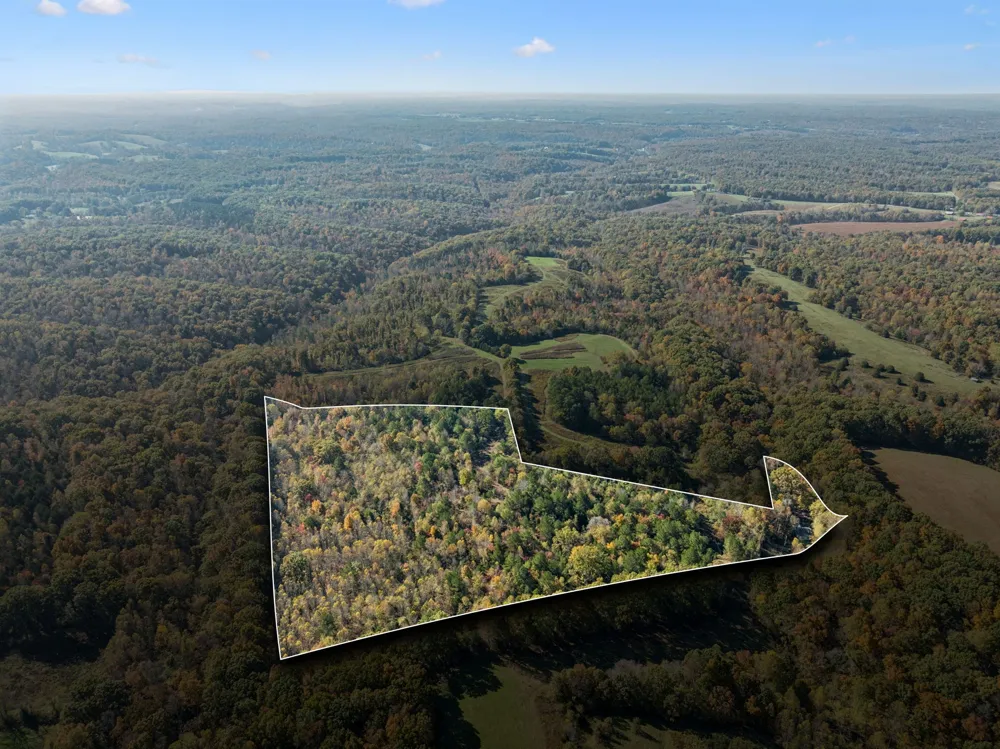 7489 Shoals Branch Rd Primm Springs, TN 38476
