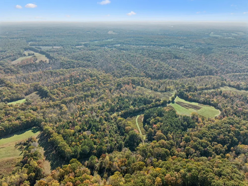 7489 Shoals Branch Rd Primm Springs, TN 38476