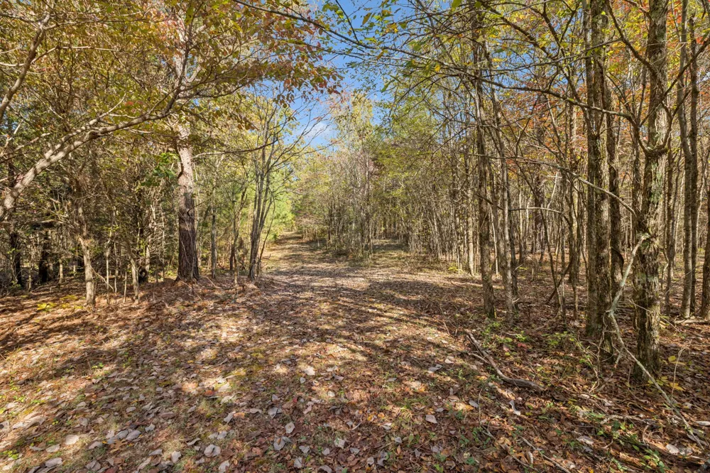 7489 Shoals Branch Rd Primm Springs, TN 38476