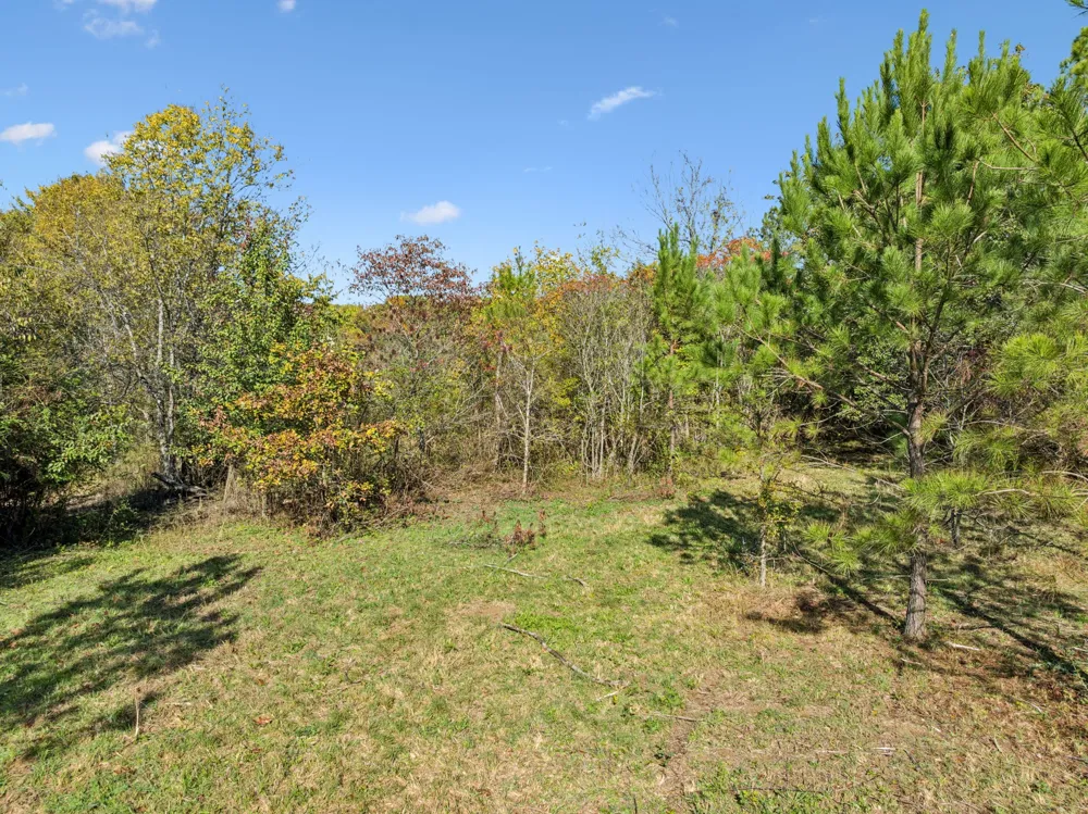 7489 Shoals Branch Rd Primm Springs, TN 38476