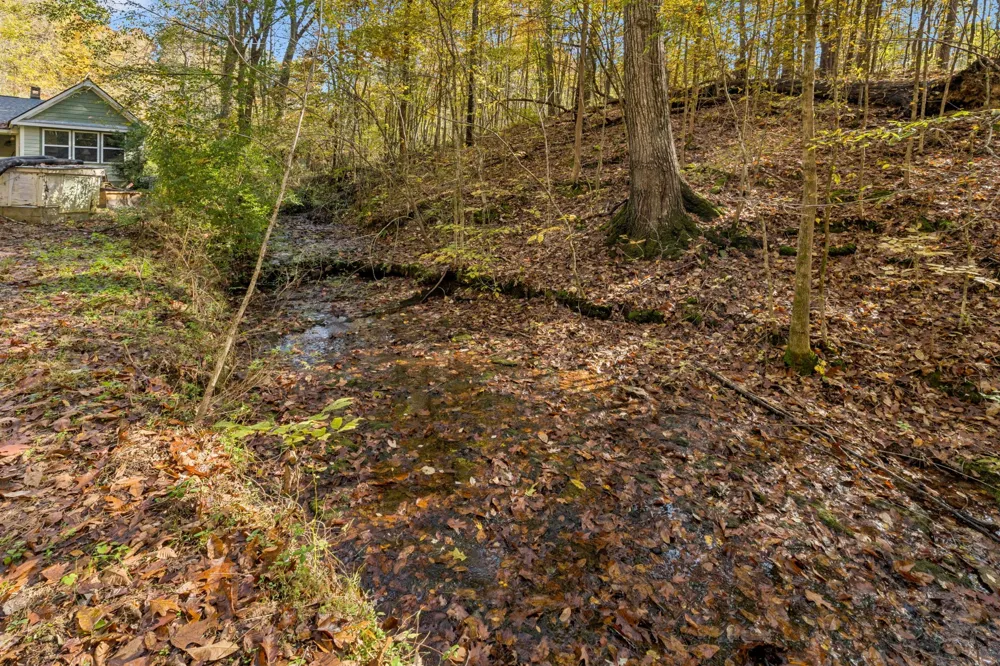 7489 Shoals Branch Rd Primm Springs, TN 38476