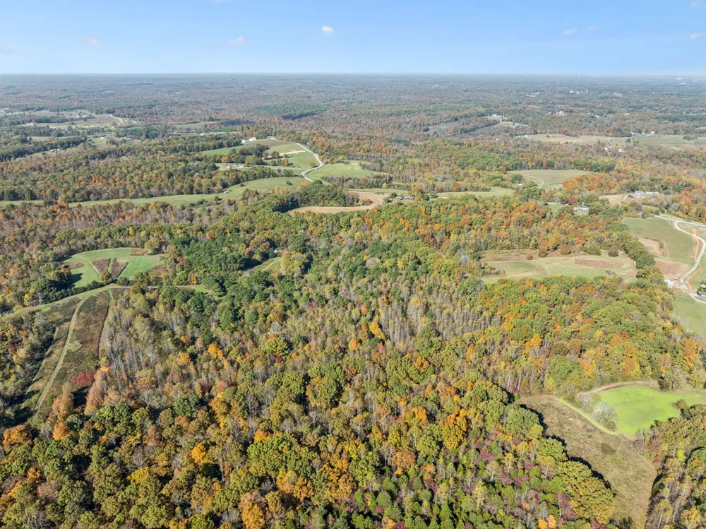7489 Shoals Branch Rd Primm Springs, TN 38476