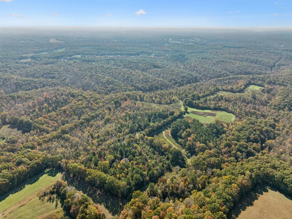 7489 Shoals Branch Rd Primm Springs, TN 38476