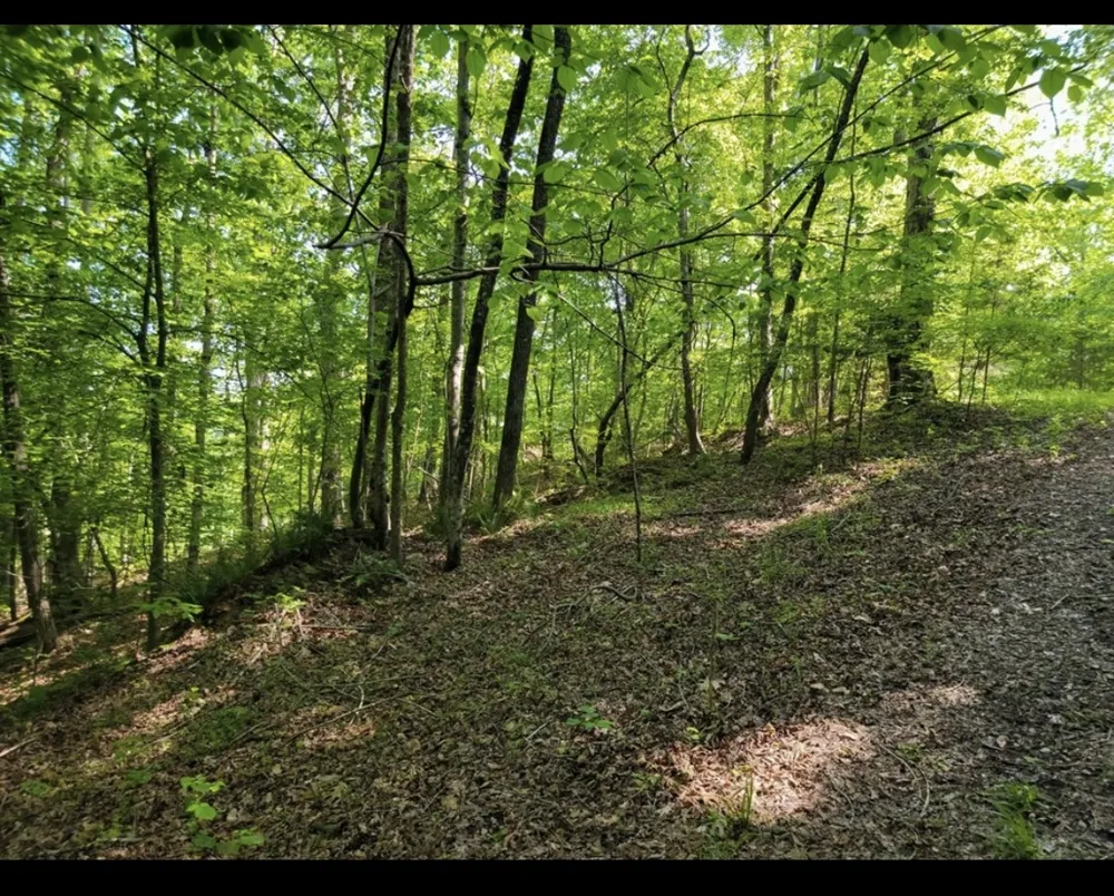 0 Shetland trace Sparta, TN 38583