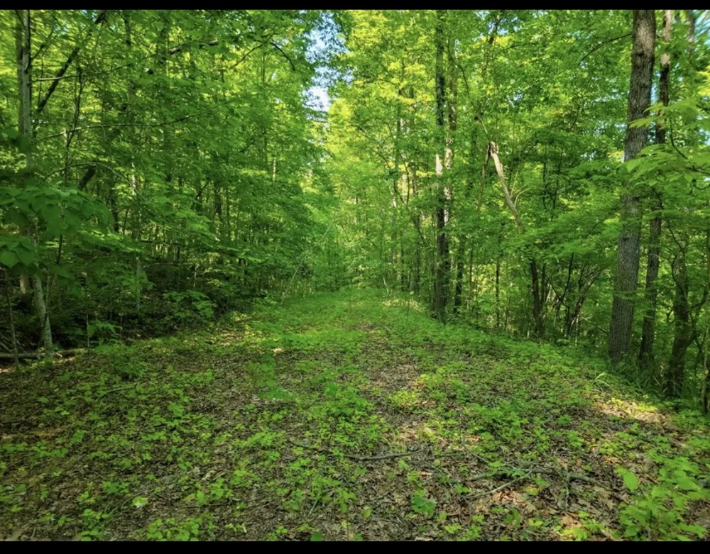 0 Shetland trace Sparta, TN 38583