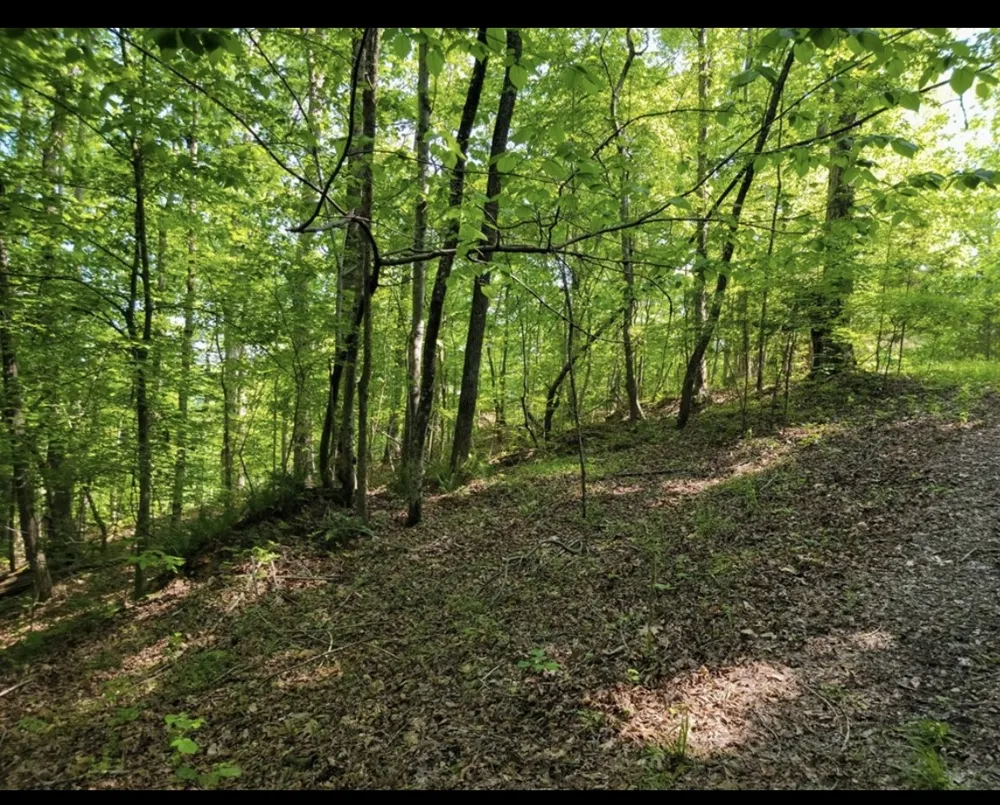 0 Shetland trace Sparta, TN 38583