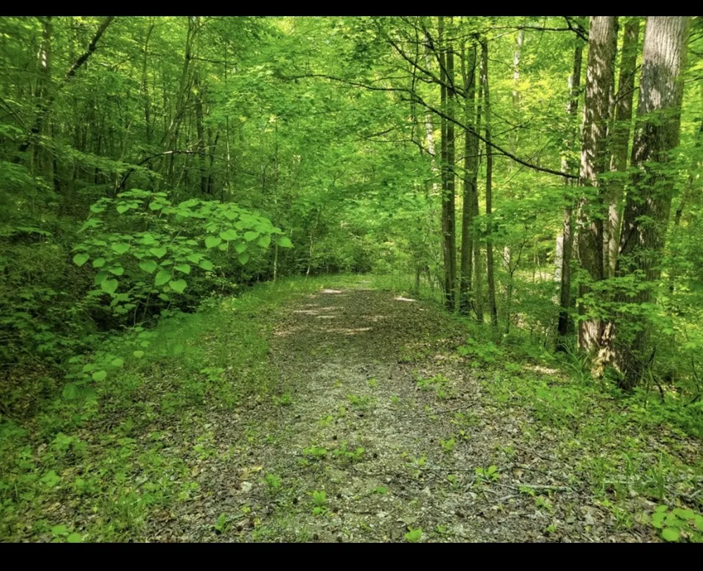 0 Shetland trace Sparta, TN 38583