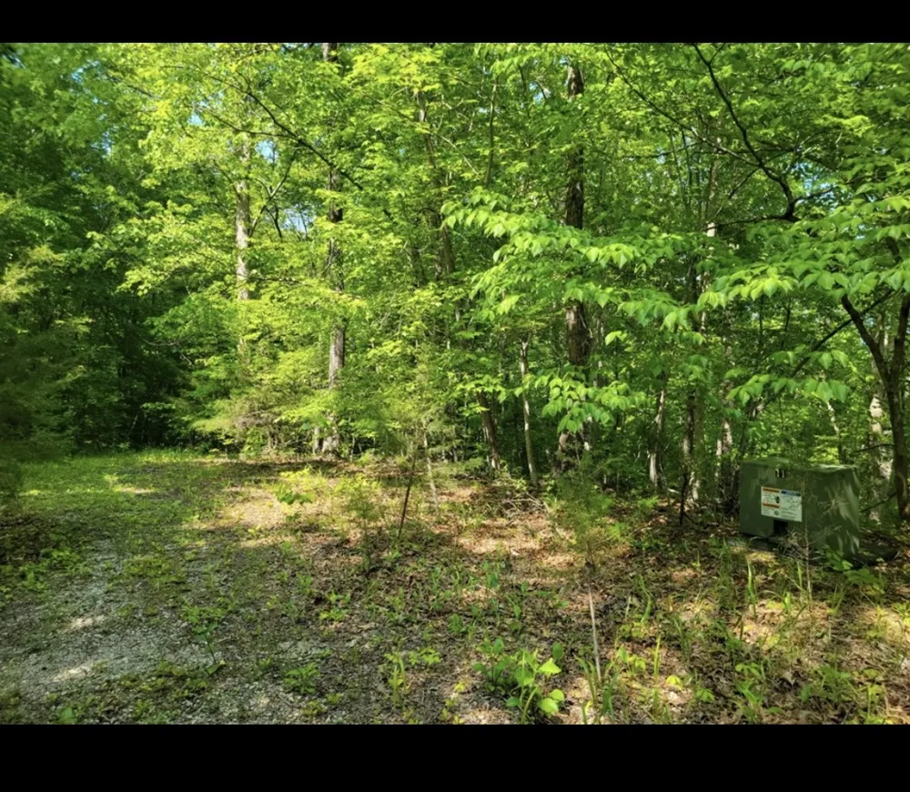 0 Shetland trace Sparta, TN 38583
