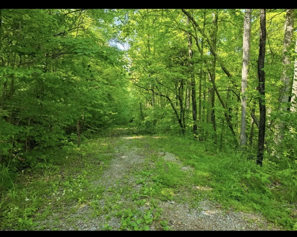 0 Shetland trace Sparta, TN 38583